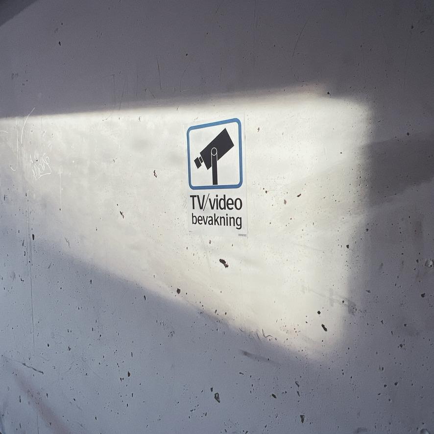Camera surveillance system
